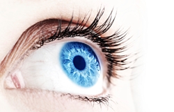 Wet AMD and Urology Now Under Choose & Book Wet AMD and Urology Now Under Choose & Book